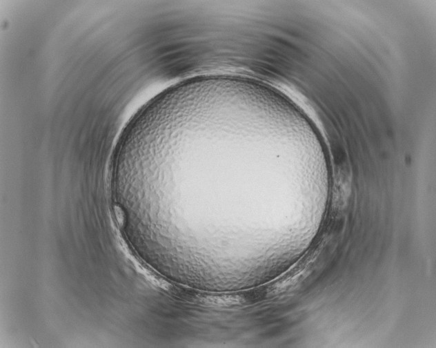 X0000087021053200704301309