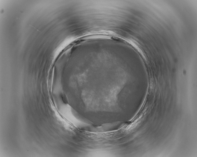 X0000087021054200704301309