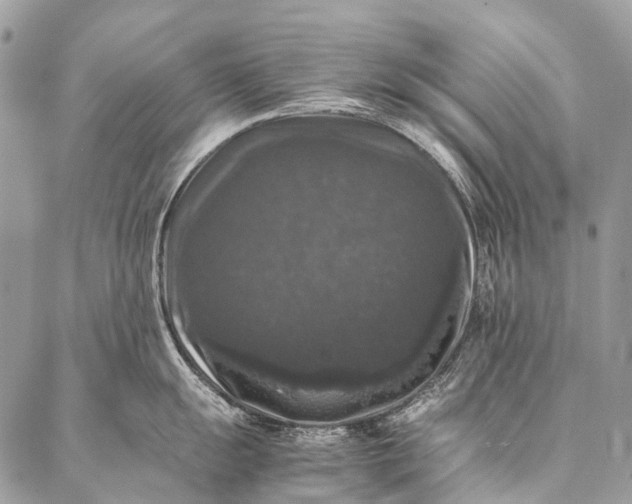 X0000087021055200704301309