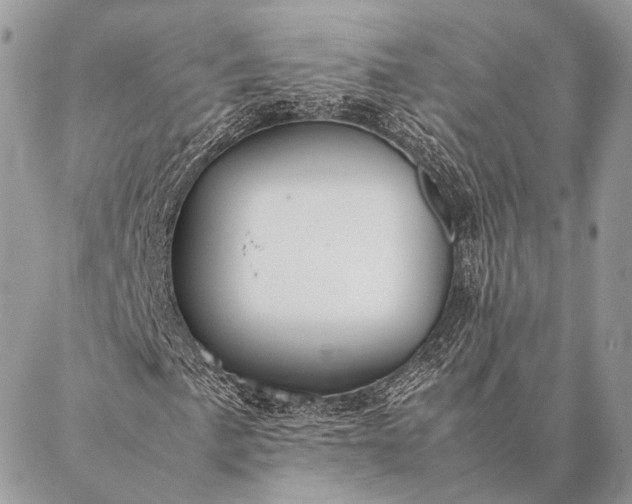 X0000087021057200704301309