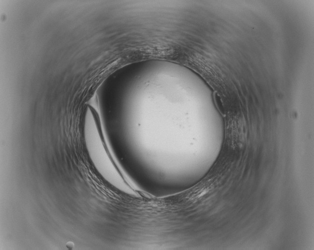 X0000087021058200704301309