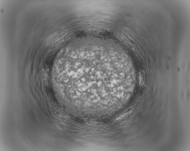 X0000087021059200704301309