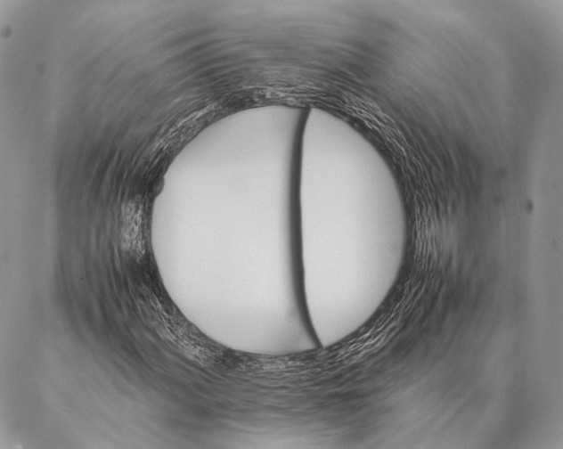 X0000087021060200704301308