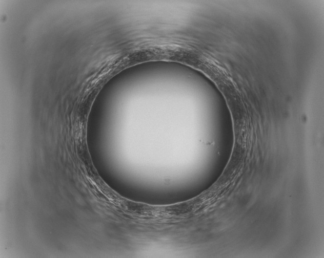 X0000087021061200704301308