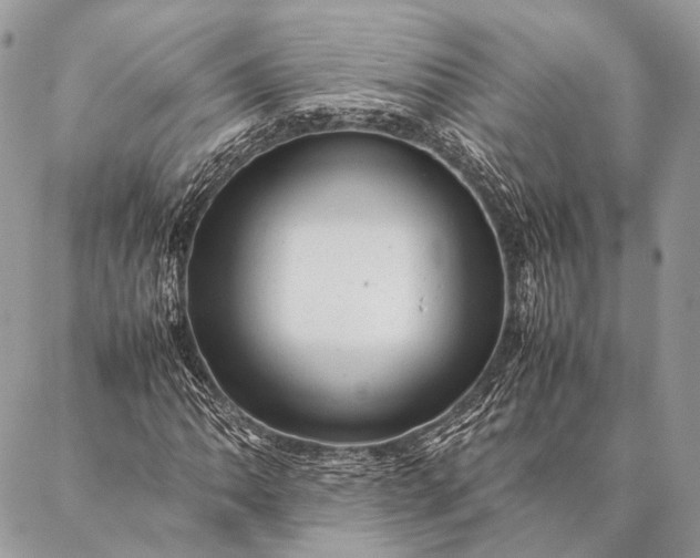 X0000087021062200704301308