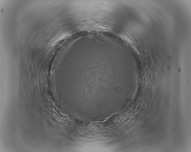 X0000087021063200704301308