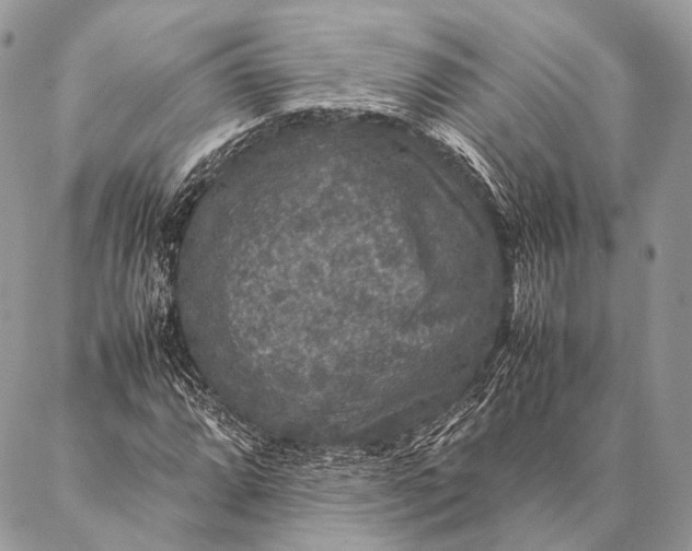 X0000087021064200704301308