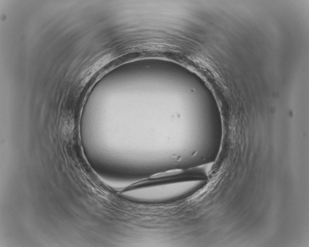 X0000087021065200704301308