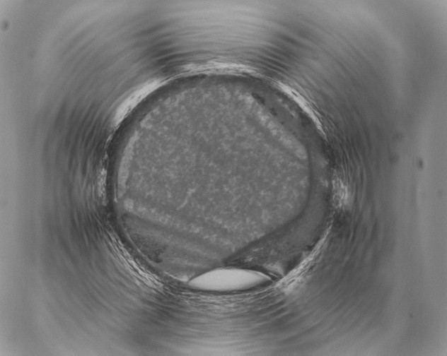 X0000087021066200704301308