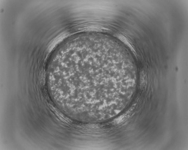 X0000087021067200704301308