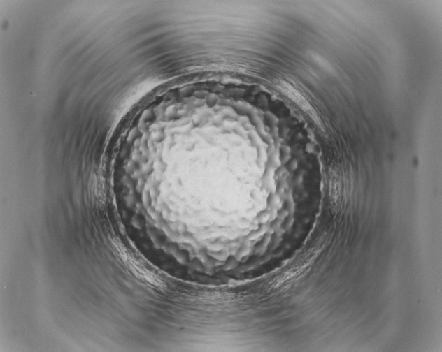 X0000087021068200704301308