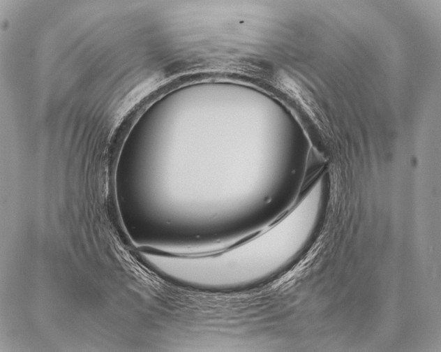 X0000087021069200704301308