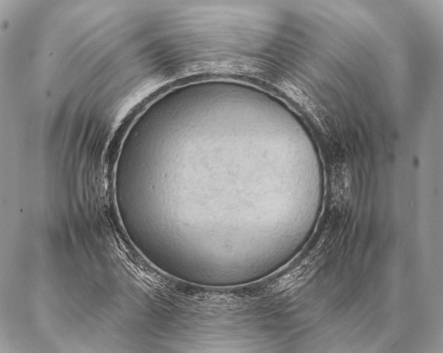 X0000087021070200704301308