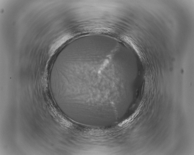 X0000087021071200704301308