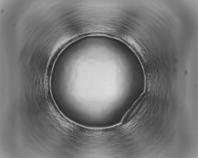 X0000087021072200704301308