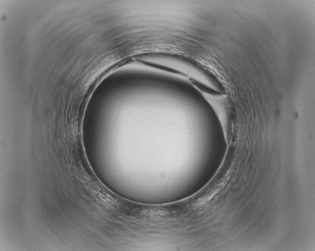 X0000087021073200704301308