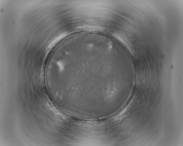 X0000087021074200704301308