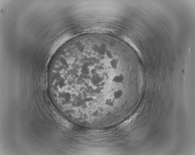 X0000087021075200704301308