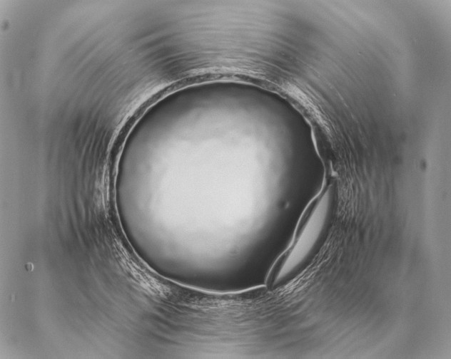 X0000087021076200704301308