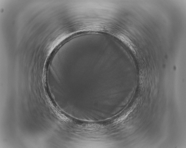 X0000087021077200704301308