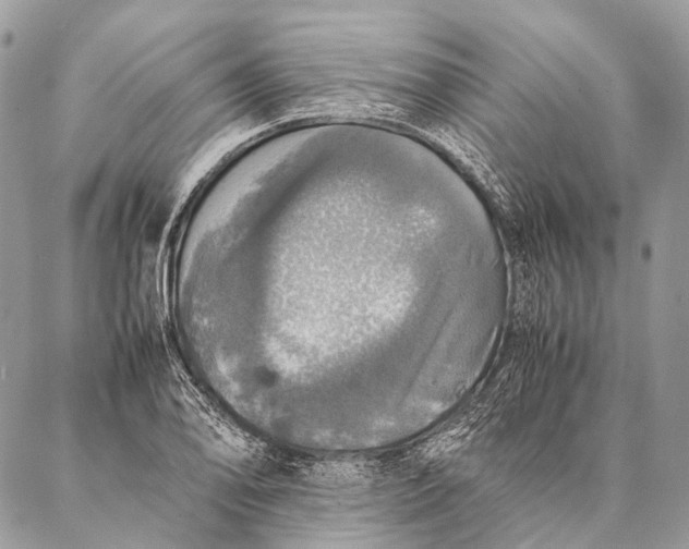 X0000087021078200704301308