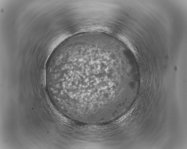 X0000087021079200704301308