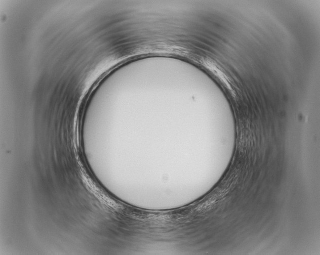 X0000087021080200704301308