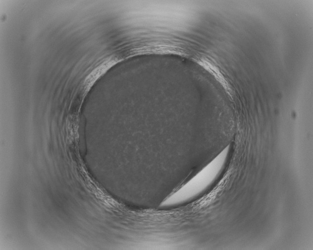 X0000087021081200704301308