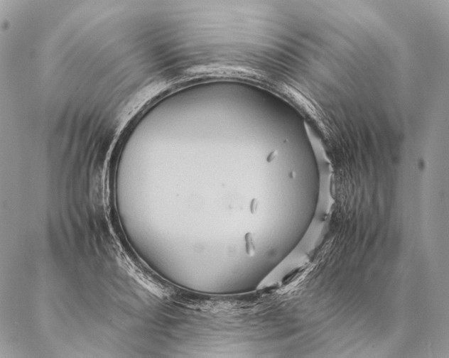 X0000087021082200704301308