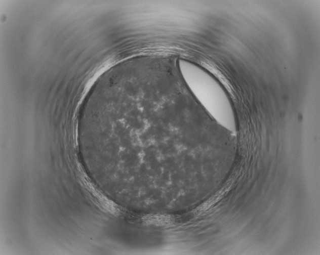 X0000087021083200704301308