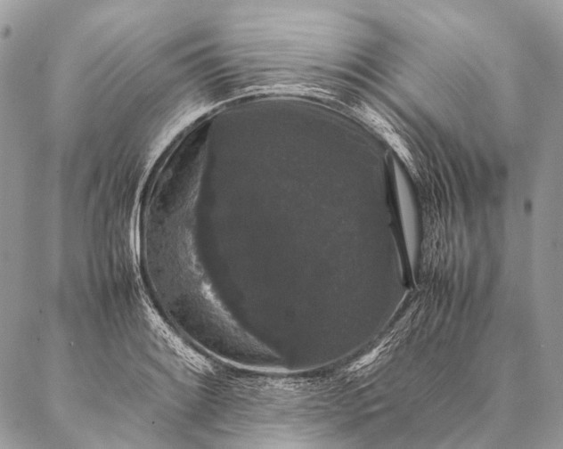 X0000087021084200704301308