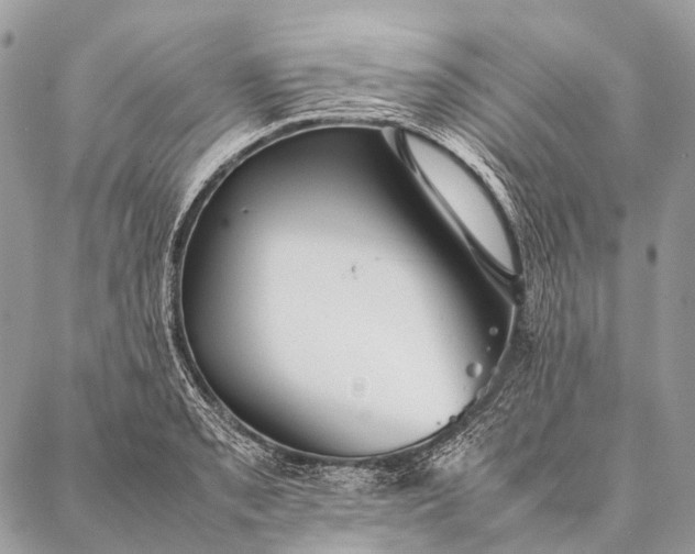 X0000087021085200704301308