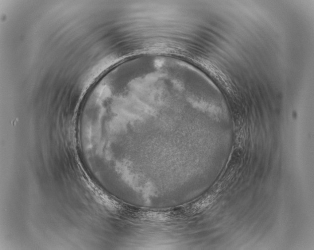 X0000087021086200704301308