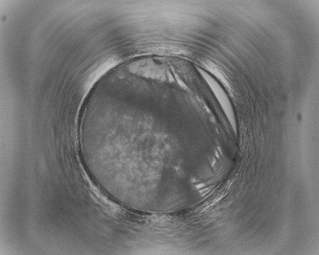 X0000087021087200704301308