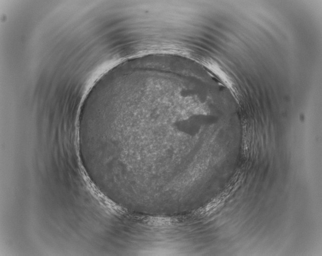 X0000087021088200704301308