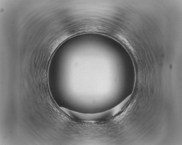 X0000087021089200704301308