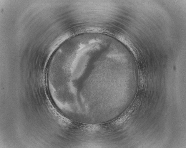 X0000087021090200704301308