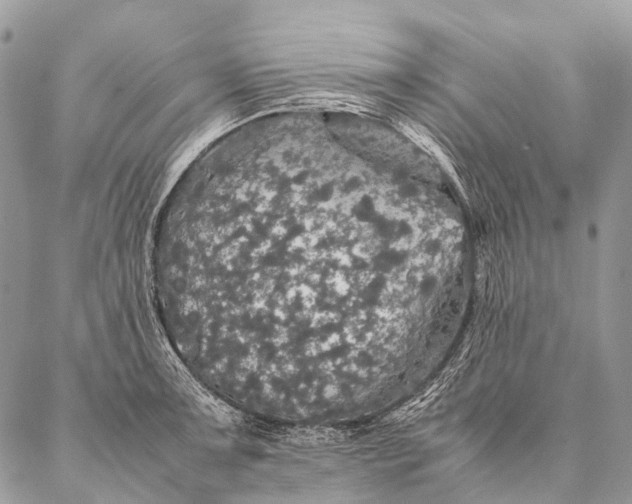 X0000087021091200704301308