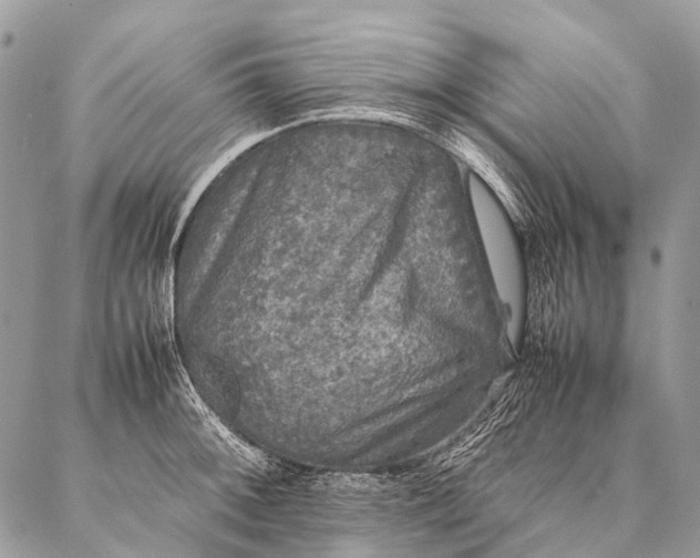 X0000087021092200704301308