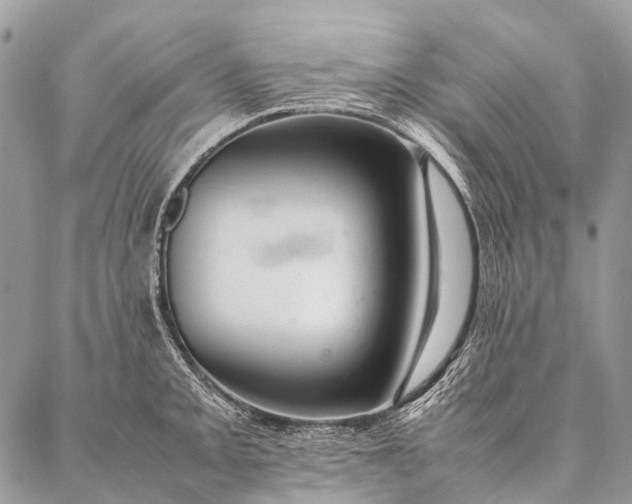 X0000087021093200704301308