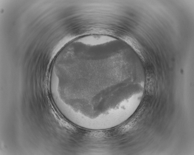 X0000087021094200704301308