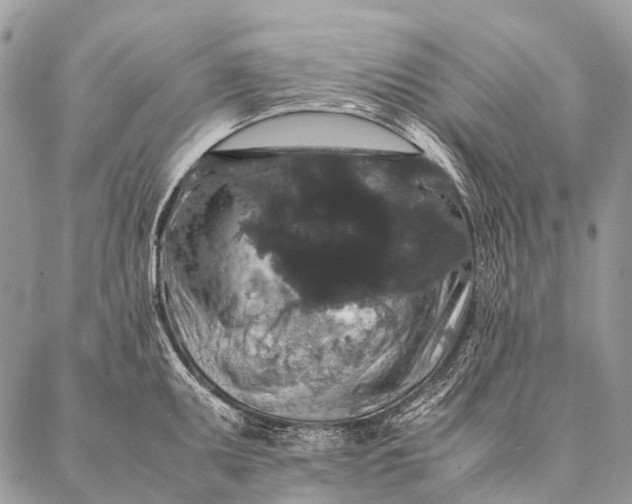 X0000087021095200704301308