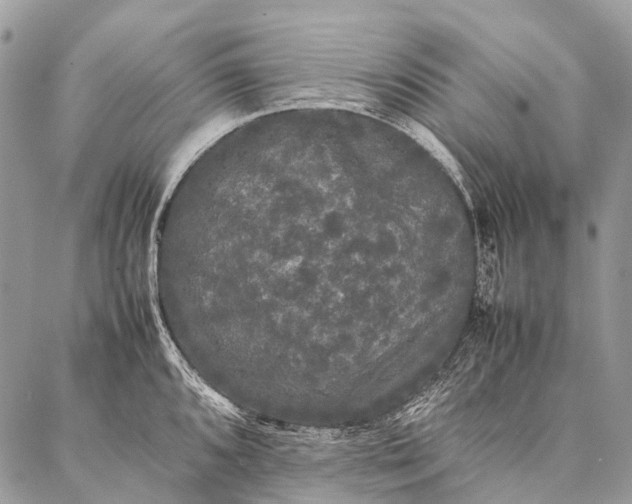 X0000087021096200704301308