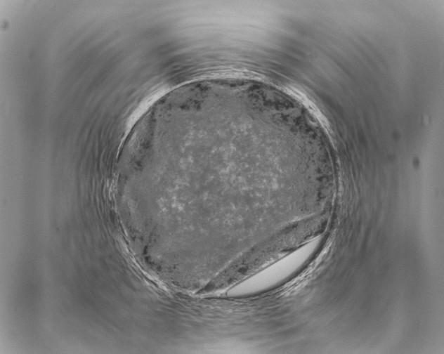 X0000087021097200704301308