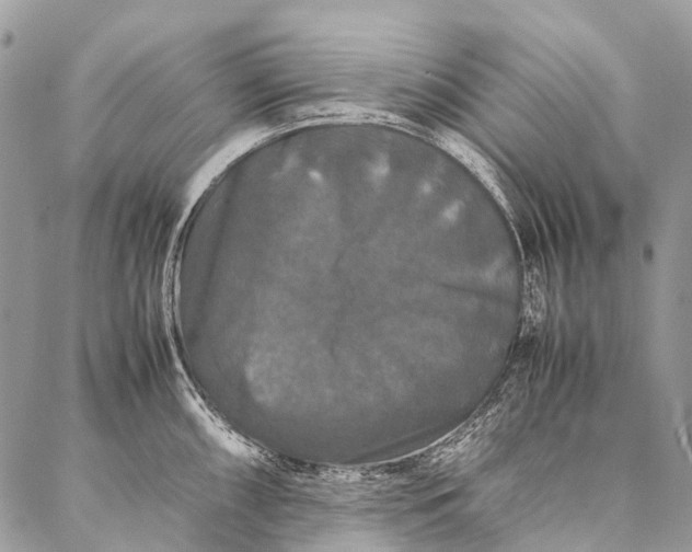 X0000087021098200704301308