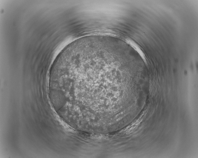 X0000087021099200704301308