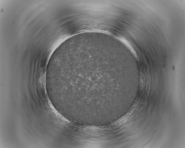 X0000087021100200704301308