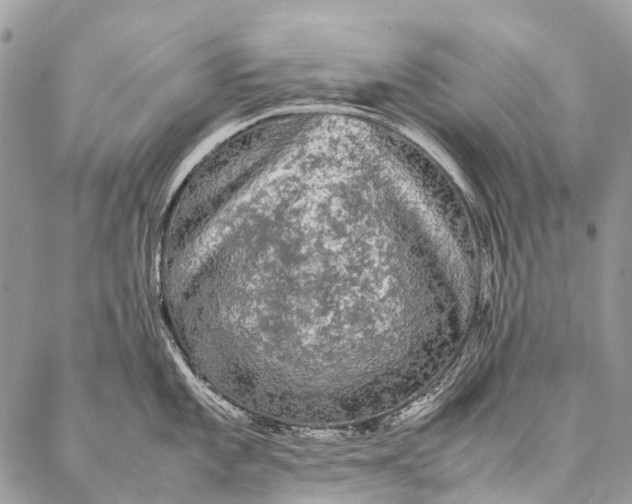 X0000087021101200704301308