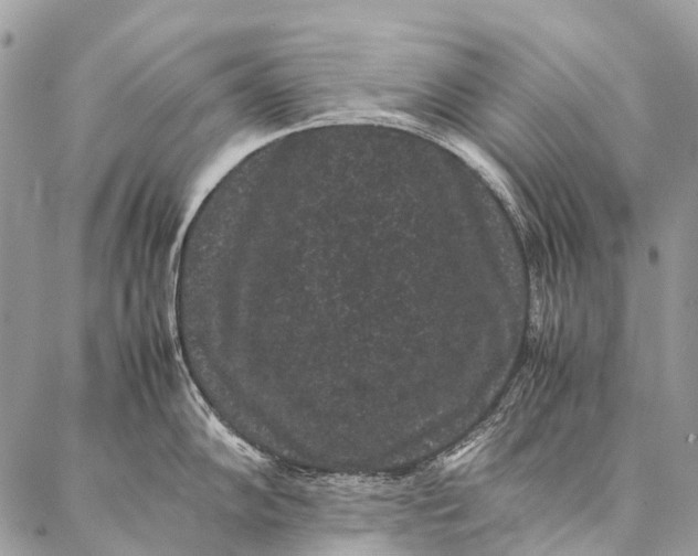 X0000087021102200704301308