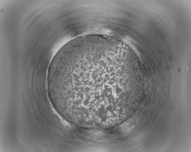 X0000087021103200704301308